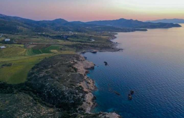 'Sophie'S Villa' Akrotiri  Exteriör bild