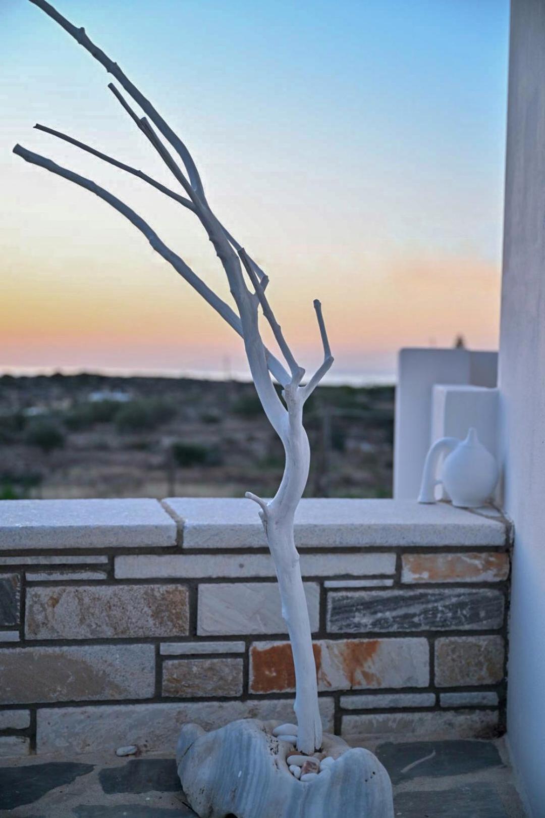'Sophie'S Villa' Akrotiri  Exteriör bild