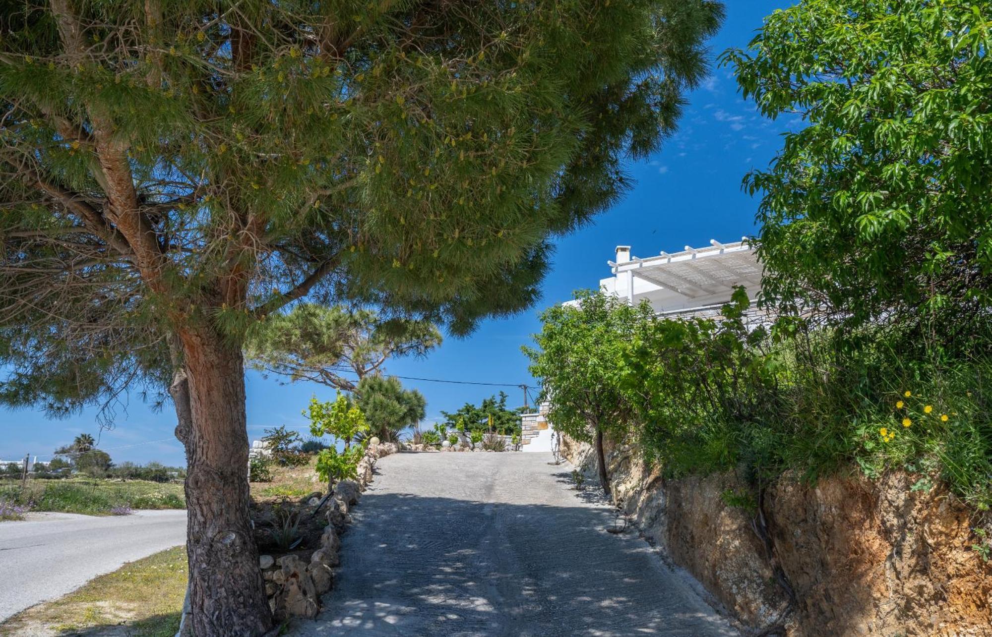 'Sophie'S Villa' Akrotiri  Exteriör bild
